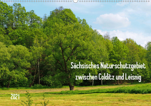 Sächsisches Naturschutzgebiet zwischen Colditz und Leisnig (Wandkalender 2021 DIN A2 quer) von Seidel,  Thilo