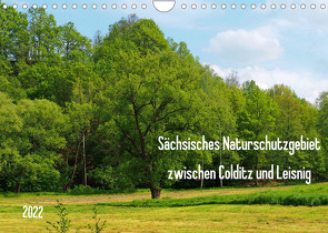 Sächsisches Naturschutzgebiet zwischen Colditz und Leisnig (Wandkalender 2022 DIN A4 quer) von Seidel,  Thilo