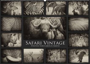 Safari Vintage (Wandkalender 2023 DIN A2 quer) von Barth,  Carolin