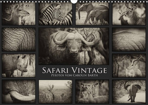 Safari Vintage (Wandkalender 2023 DIN A3 quer) von Barth,  Carolin