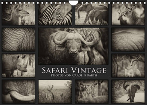 Safari Vintage (Wandkalender 2023 DIN A4 quer) von Barth,  Carolin