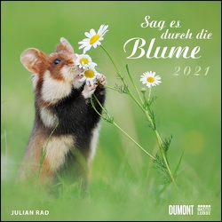 Sag es durch die Blume 2021 – Hamster, Eichhörnchen, Zwiesel in Nahaufnahme – Wandkalender mit Spiralbindung – DUMONT Quadratformat 24 x 24 cm von Rad,  Julian