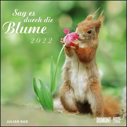 Sag es durch die Blume 2022 – Hamster, Eichhörnchen, Zwiesel in Nahaufnahme – Wandkalender mit Spiralbindung – DUMONT Quadratformat 24 x 24 cm von Rad,  Julian