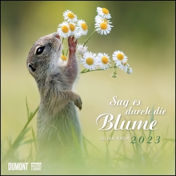 Sag es durch die Blume 2023 – Hamster, Eichhörnchen, Zwiesel in Nahaufnahme – Wandkalender mit Spiralbindung – DUMONT Quadratformat 24 x 24 cm von Rad,  Julian