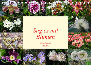 Sag es mit Blumen (Tischkalender 2023 DIN A5 quer) von Diederich,  Christa