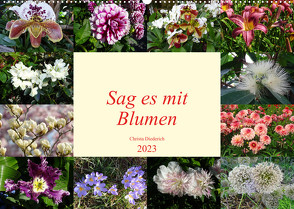 Sag es mit Blumen (Wandkalender 2023 DIN A2 quer) von Diederich,  Christa