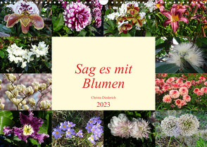 Sag es mit Blumen (Wandkalender 2023 DIN A3 quer) von Diederich,  Christa