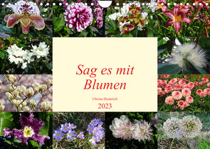 Sag es mit Blumen (Wandkalender 2023 DIN A4 quer) von Diederich,  Christa