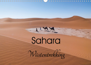Sahara Wüstentrekking (Wandkalender 2021 DIN A3 quer) von Görig,  Christine