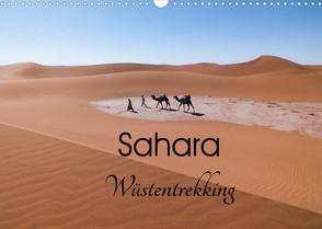 Sahara Wüstentrekking (Wandkalender 2022 DIN A3 quer) von Görig,  Christine