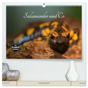 Salamander und Co. (hochwertiger Premium Wandkalender 2024 DIN A2 quer), Kunstdruck in Hochglanz von Di Chito,  Ursula