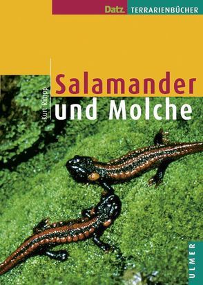 Salamander und Molche von Rimpp,  Kurt