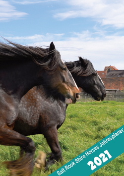 Salt Rook Shire Horse Planer 2021 von Waldow,  Michael, Wohlleben,  Sandy