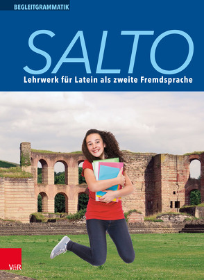 Salto Begleitgrammatik von Gerth,  Susanne, Haselmann,  Henning, Hennerici,  Francis, Jitschin,  Peter, Laser,  Günter, Lösch,  Sabine