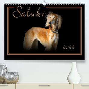 Saluki 2022 (Premium, hochwertiger DIN A2 Wandkalender 2022, Kunstdruck in Hochglanz) von Redecker,  Andrea