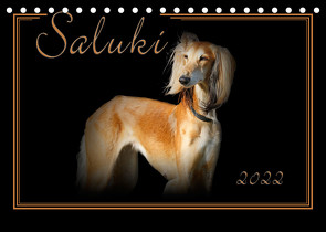 Saluki 2022 (Tischkalender 2022 DIN A5 quer) von Redecker,  Andrea