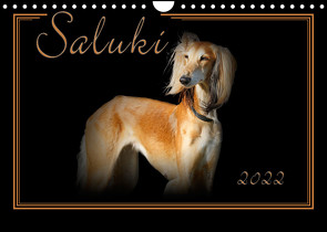 Saluki 2022 (Wandkalender 2022 DIN A4 quer) von Redecker,  Andrea