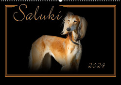 Saluki 2024 (Wandkalender 2024 DIN A2 quer), CALVENDO Monatskalender von Redecker,  Andrea