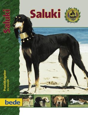 Saluki von Schmidt,  Iris