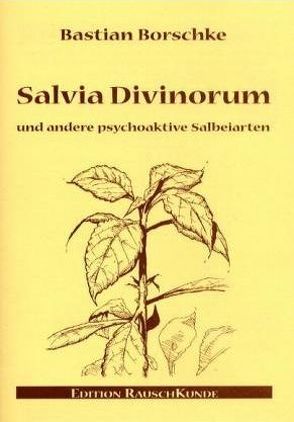 Salvia Divinorum von Borschke,  Bastian