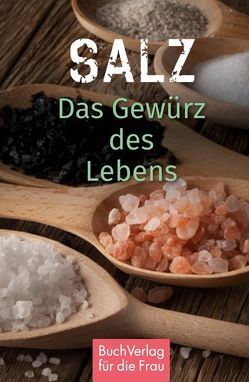 Salz. Das Gewürz des Lebens von Kleinschmidt,  Katharina