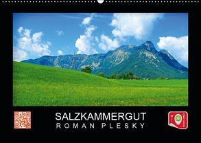 Salzkammergut (Wandkalender 2019 DIN A2 quer) von Plesky,  Roman