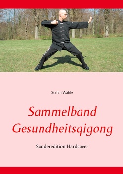 Sammelband Gesundheitsqigong von Wahle,  Stefan