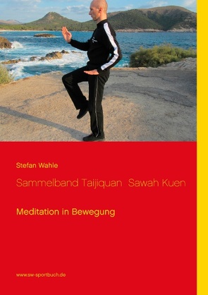 Sammelband Taijiquan Sawah Kuen von Wahle,  Stefan