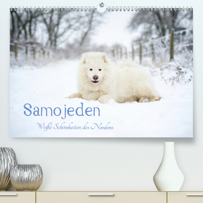 Samojeden – Liebenswerte Fellkugeln (Premium, hochwertiger DIN A2 Wandkalender 2021, Kunstdruck in Hochglanz) von Annett Mirsberger,  Tierpfoto