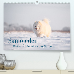 Samojeden – Liebenswerte Fellkugeln (Premium, hochwertiger DIN A2 Wandkalender 2022, Kunstdruck in Hochglanz) von Mirsberger,  Annett