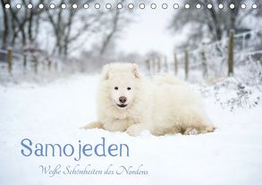 Samojeden – Liebenswerte Fellkugeln (Tischkalender 2020 DIN A5 quer) von Annett Mirsberger,  Tierpfoto