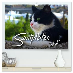 SAMTPFOTEN „fellnah“ (hochwertiger Premium Wandkalender 2024 DIN A2 quer), Kunstdruck in Hochglanz von Bleicher,  Renate