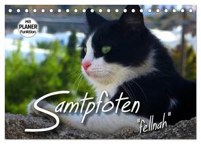 SAMTPFOTEN „fellnah“ (Tischkalender 2024 DIN A5 quer), CALVENDO Monatskalender von Bleicher,  Renate