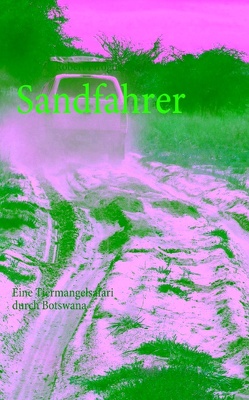 Sandfahrer von Pfrogner,  Robert