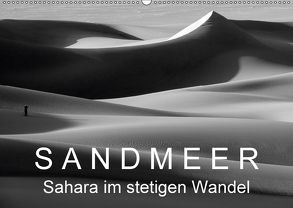 Sandmeer – Sahara im stetigen Wandel (Wandkalender 2018 DIN A2 quer) von Zinn,  Gerhard