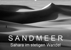 Sandmeer – Sahara im stetigen Wandel (Wandkalender 2019 DIN A2 quer) von Zinn,  Gerhard