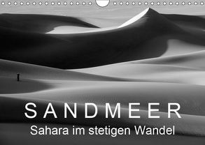 Sandmeer – Sahara im stetigen Wandel (Wandkalender 2019 DIN A4 quer) von Zinn,  Gerhard