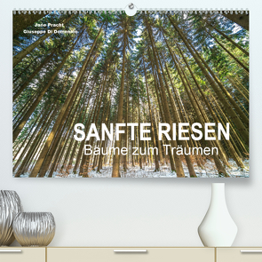 Sanfte Riesen – Bäume zum Träumen (Premium, hochwertiger DIN A2 Wandkalender 2021, Kunstdruck in Hochglanz) von Pracht und Giuseppe Di Domenico,  Jane