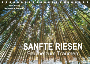 Sanfte Riesen – Bäume zum Träumen (Tischkalender 2021 DIN A5 quer) von Pracht und Giuseppe Di Domenico,  Jane