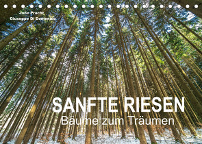 Sanfte Riesen – Bäume zum Träumen (Tischkalender 2023 DIN A5 quer) von Pracht und Giuseppe Di Domenico,  Jane