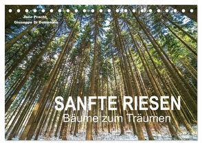 Sanfte Riesen – Bäume zum Träumen (Tischkalender 2024 DIN A5 quer), CALVENDO Monatskalender von Pracht und Giuseppe Di Domenico,  Jane