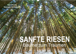 Sanfte Riesen – Bäume zum Träumen (Wandkalender 2021 DIN A2 quer) von Pracht und Giuseppe Di Domenico,  Jane