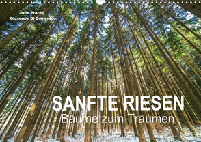 Sanfte Riesen – Bäume zum Träumen (Wandkalender 2021 DIN A3 quer) von Pracht und Giuseppe Di Domenico,  Jane