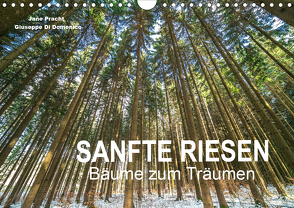 Sanfte Riesen – Bäume zum Träumen (Wandkalender 2021 DIN A4 quer) von Pracht und Giuseppe Di Domenico,  Jane