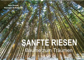 Sanfte Riesen – Bäume zum Träumen (Wandkalender 2022 DIN A2 quer) von Pracht und Giuseppe Di Domenico,  Jane