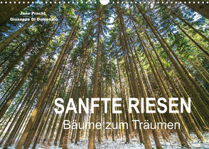 Sanfte Riesen – Bäume zum Träumen (Wandkalender 2022 DIN A3 quer) von Pracht und Giuseppe Di Domenico,  Jane