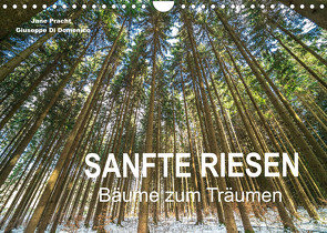 Sanfte Riesen – Bäume zum Träumen (Wandkalender 2022 DIN A4 quer) von Pracht und Giuseppe Di Domenico,  Jane