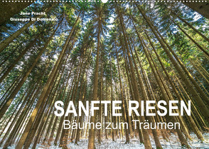 Sanfte Riesen – Bäume zum Träumen (Wandkalender 2023 DIN A2 quer) von Pracht und Giuseppe Di Domenico,  Jane