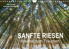 Sanfte Riesen – Bäume zum Träumen (Wandkalender 2023 DIN A4 quer) von Pracht und Giuseppe Di Domenico,  Jane