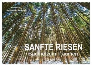 Sanfte Riesen – Bäume zum Träumen (Wandkalender 2024 DIN A2 quer), CALVENDO Monatskalender von Pracht und Giuseppe Di Domenico,  Jane